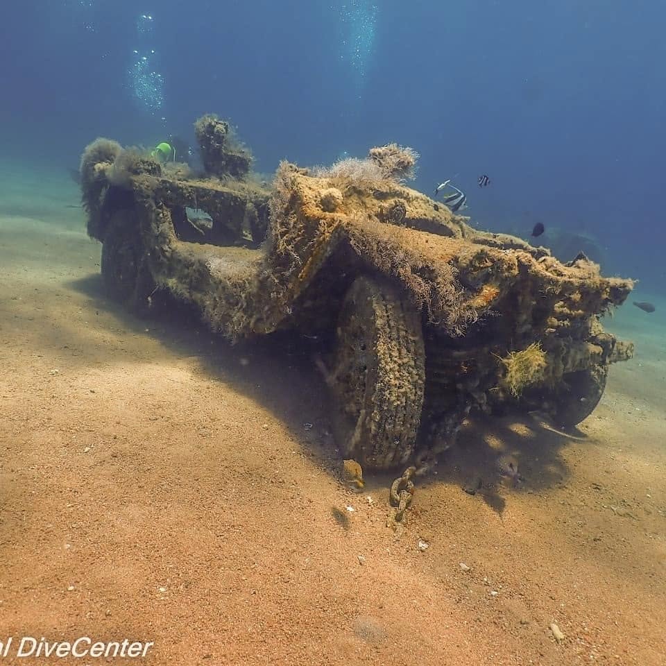 Aqaba coral reef diving