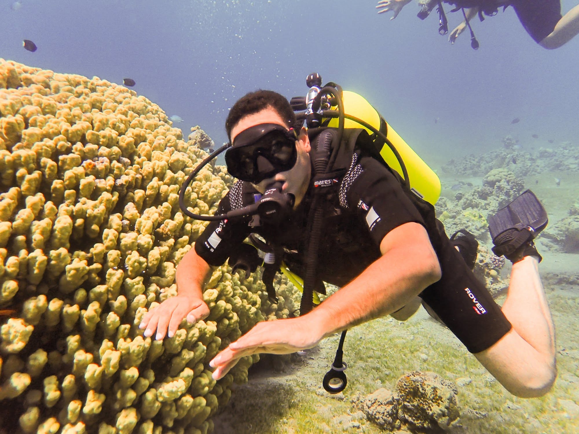Diving Aqaba Jordan Red Sea