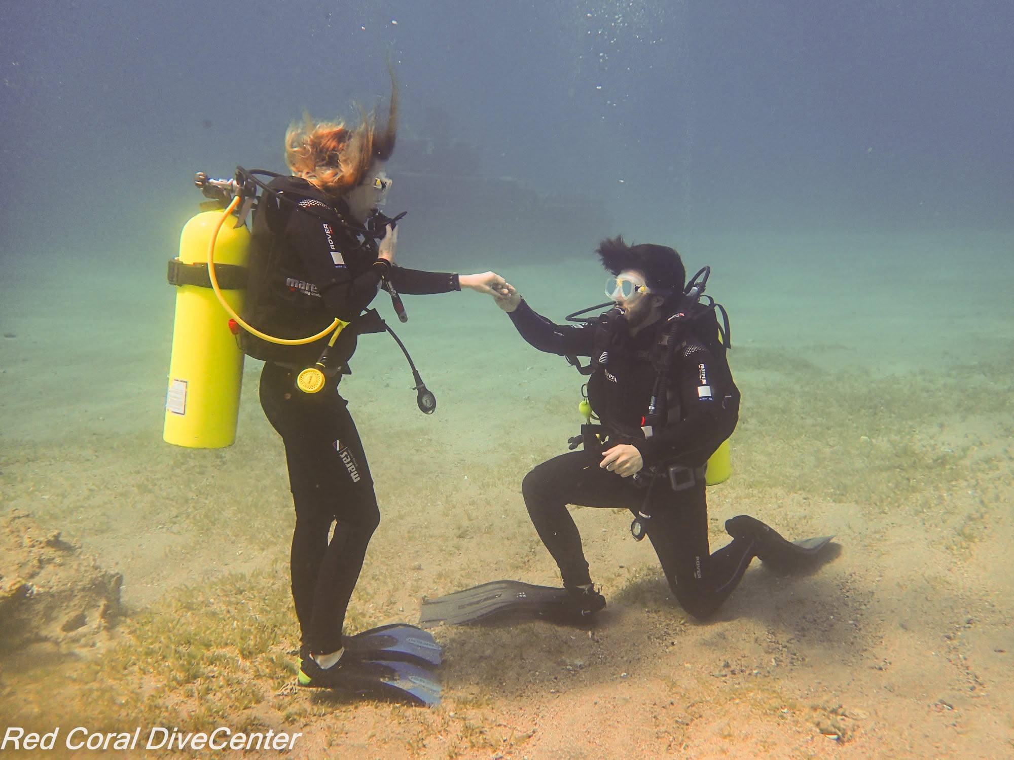 Red Coral Dive Center scuba experience