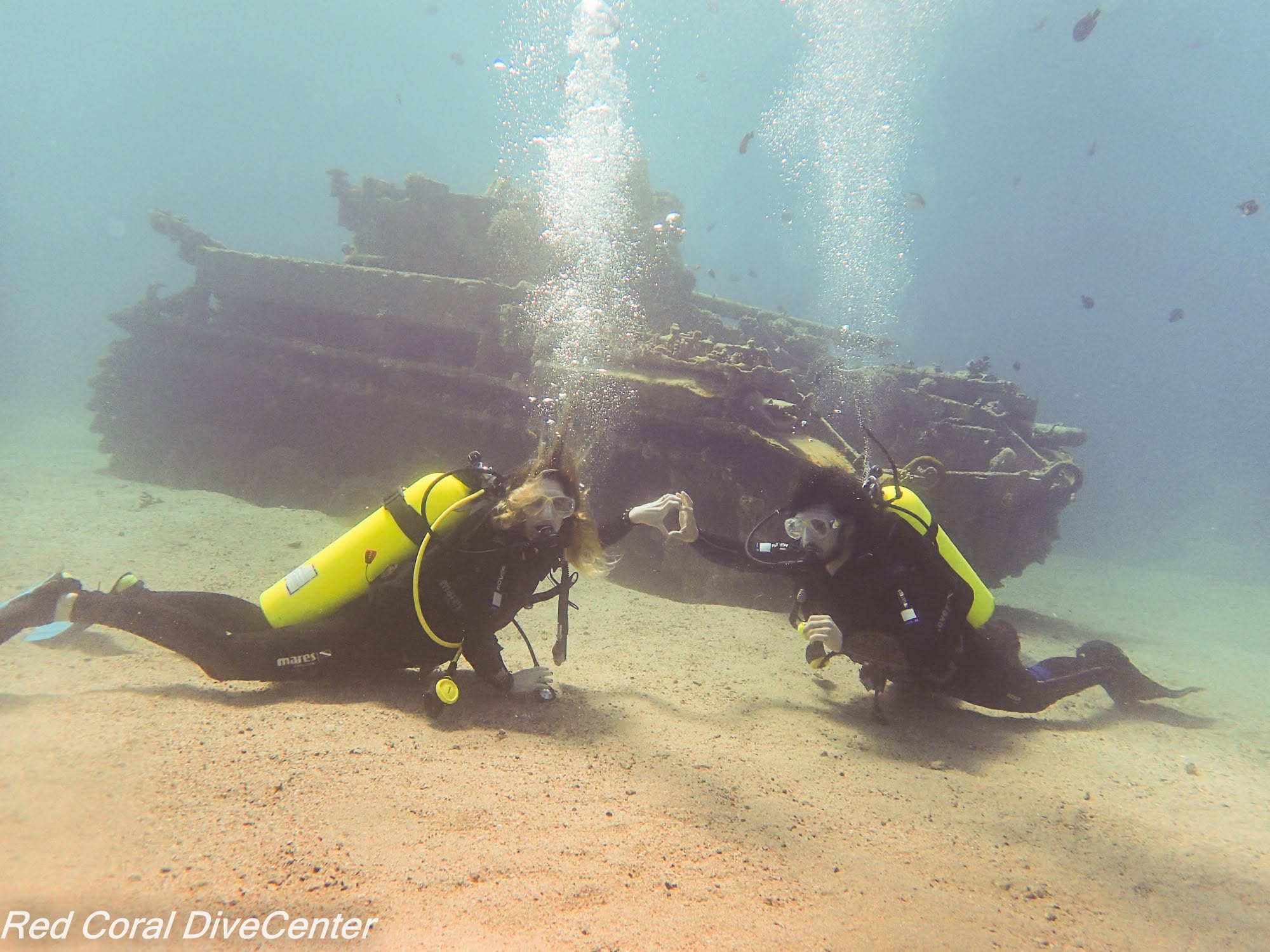 PADI diving courses in Aqaba Jordan